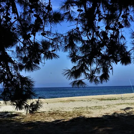Sofi's Beach * Ormos Prinou (Thasos)